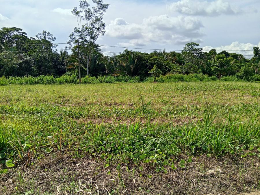 Lote - Venda - Nova Marabá - Marabá - PA
